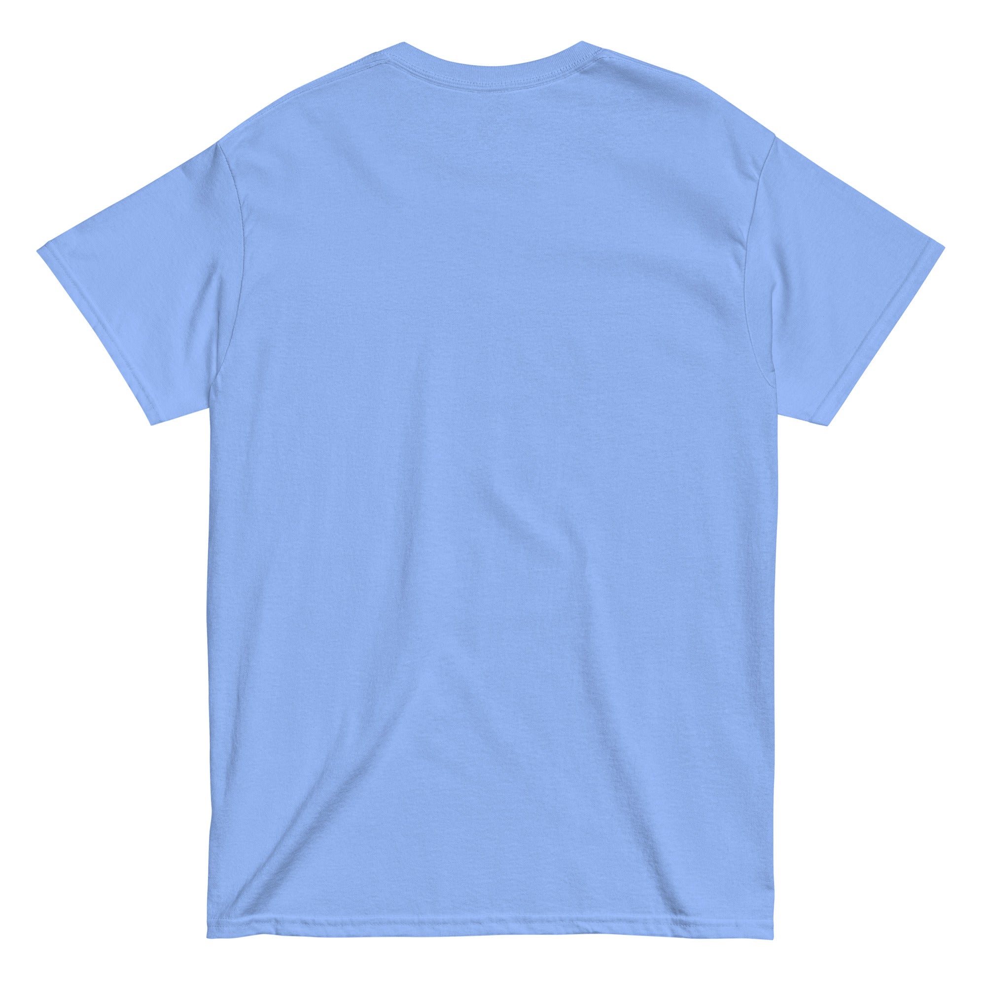 Plain light blue t-shirt on a white background